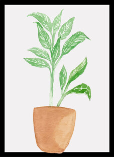 手绘盆栽植物图