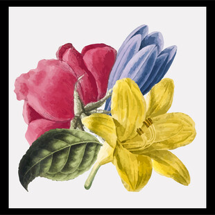 手绘多彩花卉插画