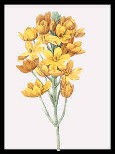 黄色花卉水彩画