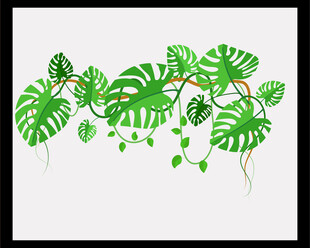 热带绿植藤蔓装饰图案