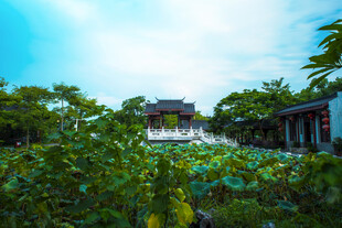 荷塘边的中式建筑美景