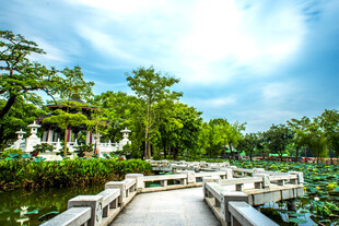 中式园林荷塘木桥美景