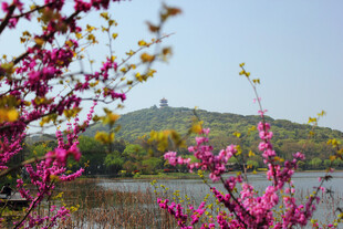 湖畔繁花伴远山美景