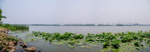 无锡鼋头渚湖面全景