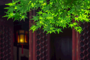 苏州园林