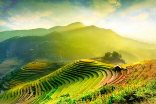 山间梯田美景