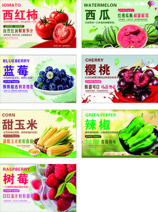 多样新鲜蔬果展示