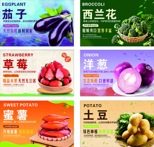 多样新鲜蔬菜与水果展示