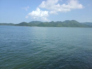宁静广阔的湖景风光