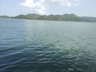 宁静广阔的蓝色海面景观