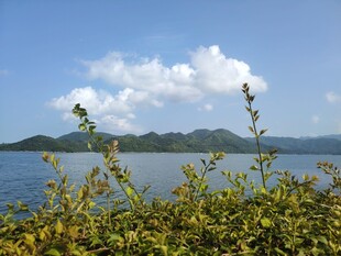 湖畔绿植与远山蓝天美景
