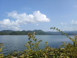 湖畔风光