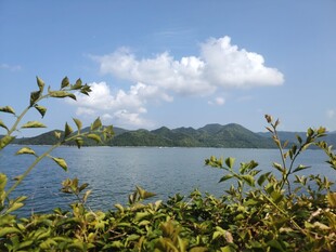 湖畔绿植与远山蓝天美景