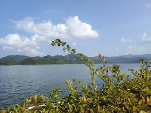 湖畔绿植与远山蓝天美景
