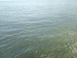 平静海面的美丽波纹