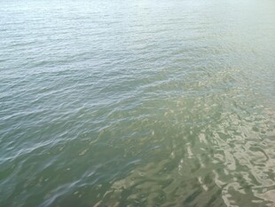 波光粼粼的海面