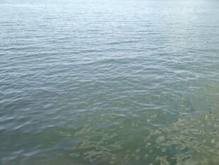 平静湖面的粼粼波光