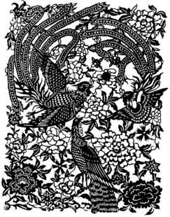 黑白花鸟图案艺术插画