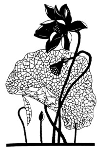 黑白花卉线条插画作品