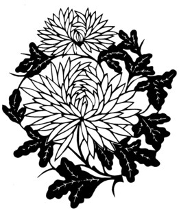 黑白菊花花卉图案设计