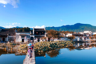 水乡美景宁静古朴的村落