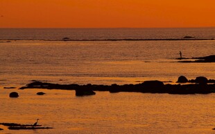 夕阳下的海边景致