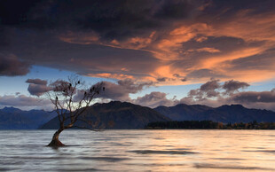 孤树映晚霞于平静湖面