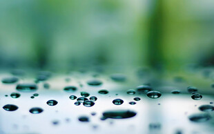 水滴晶莹展现自然之美