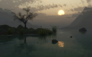 湖畔孤树映夕阳美景