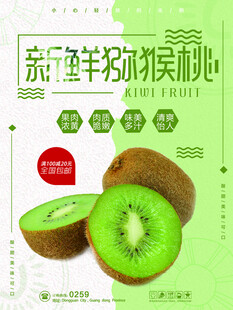 新鲜多汁猕猴桃水果切片