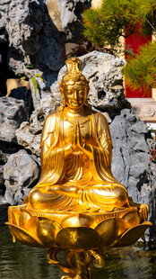 江西九江金色观音佛像坐于水景中