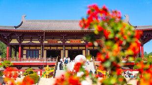 江西九江东林大佛东林寺极乐殿
