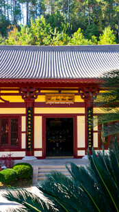 江西九江东林大佛东林寺普贤殿