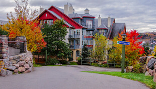 秋日多彩房屋旁的小路