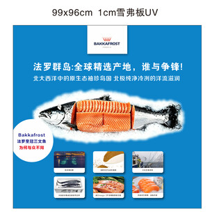 三文鱼海报