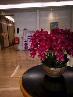 室内圆桌上的艳丽红花卉