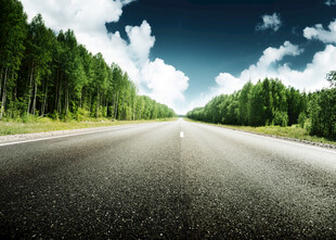 林间公路