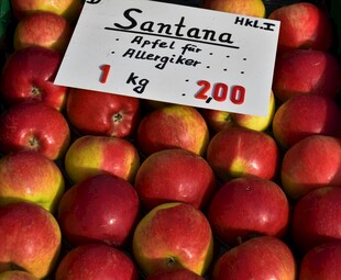 苹果售价每公斤200