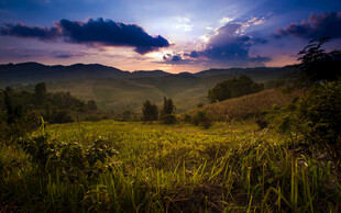 黄昏下的绿野山川美景
