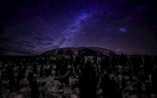夜空下的森林与璀璨星河