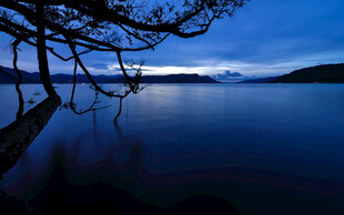 静谧湖畔夜色美景