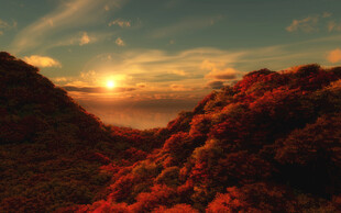 夕阳下的绚烂山林