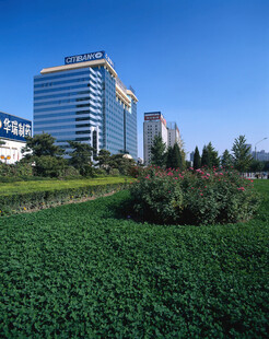城市绿地旁的现代化高楼