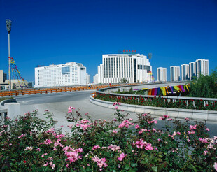 城市道路旁的繁花与建筑