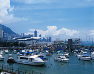 海港停泊的众多船只景观