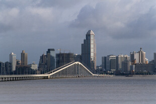 城市天际线与跨江桥梁景观