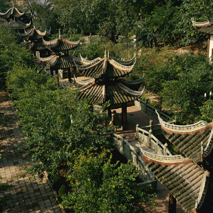 古建园林景观绿树环绕