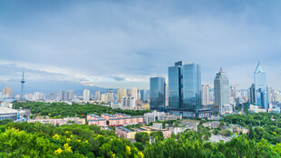 城市绿意与高楼景观