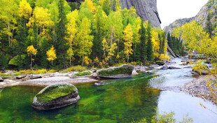 秋日山间清澈溪流美景