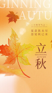 立秋时节的枫叶美景海报